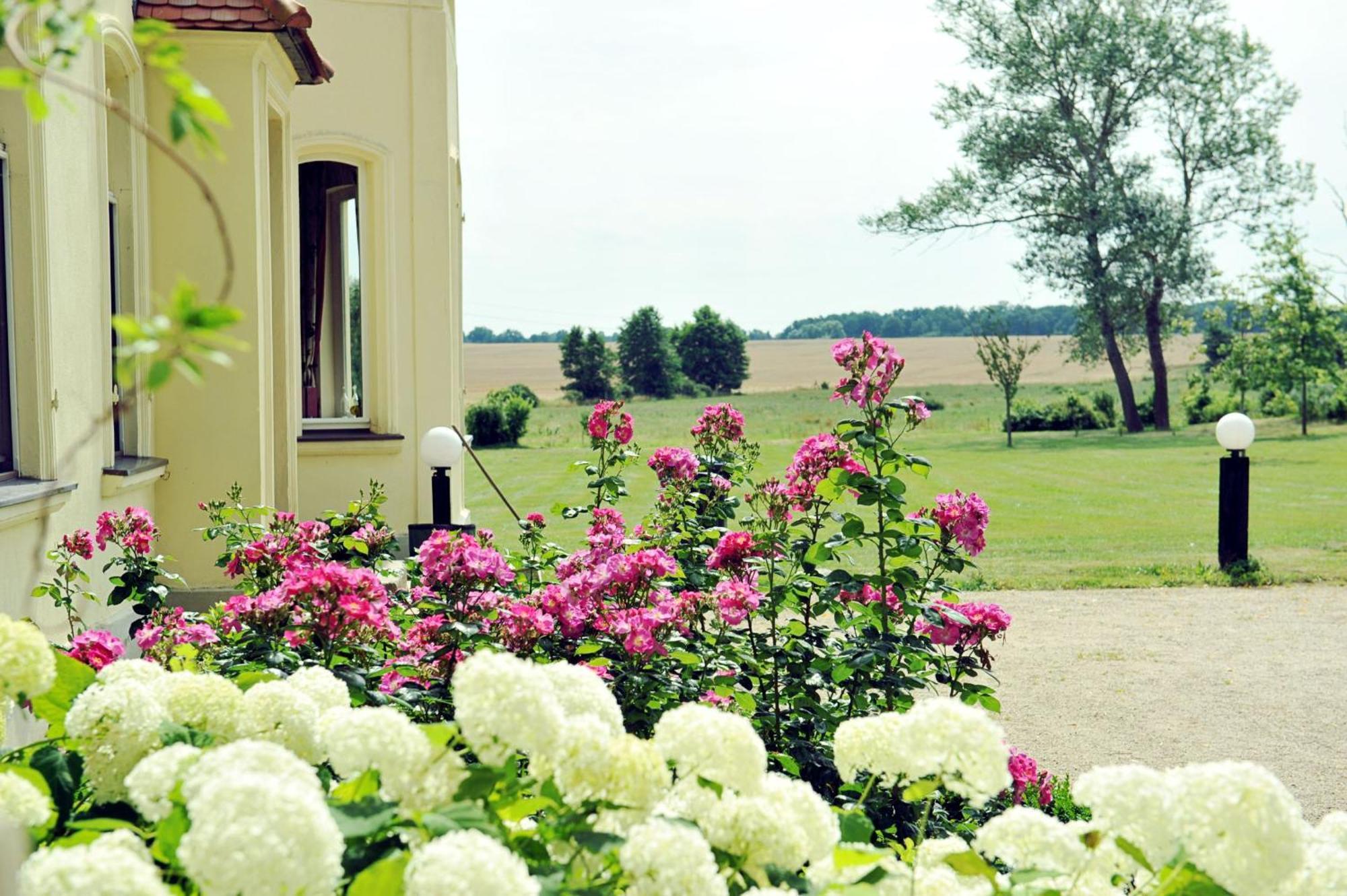Villa Gutshaus Penzlin Meyenburg  Exterior foto